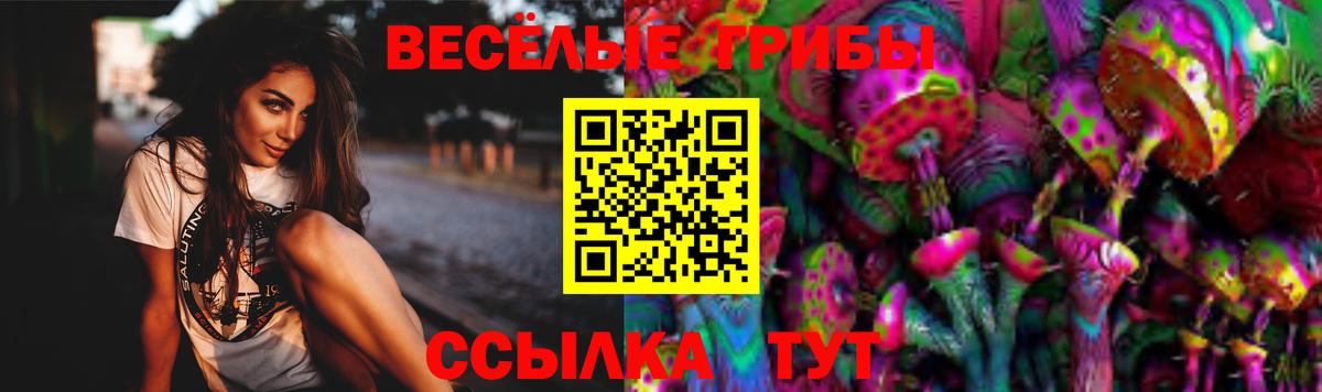 Галлюциногенные грибы прущие грибы Петропавловск-Камчатский