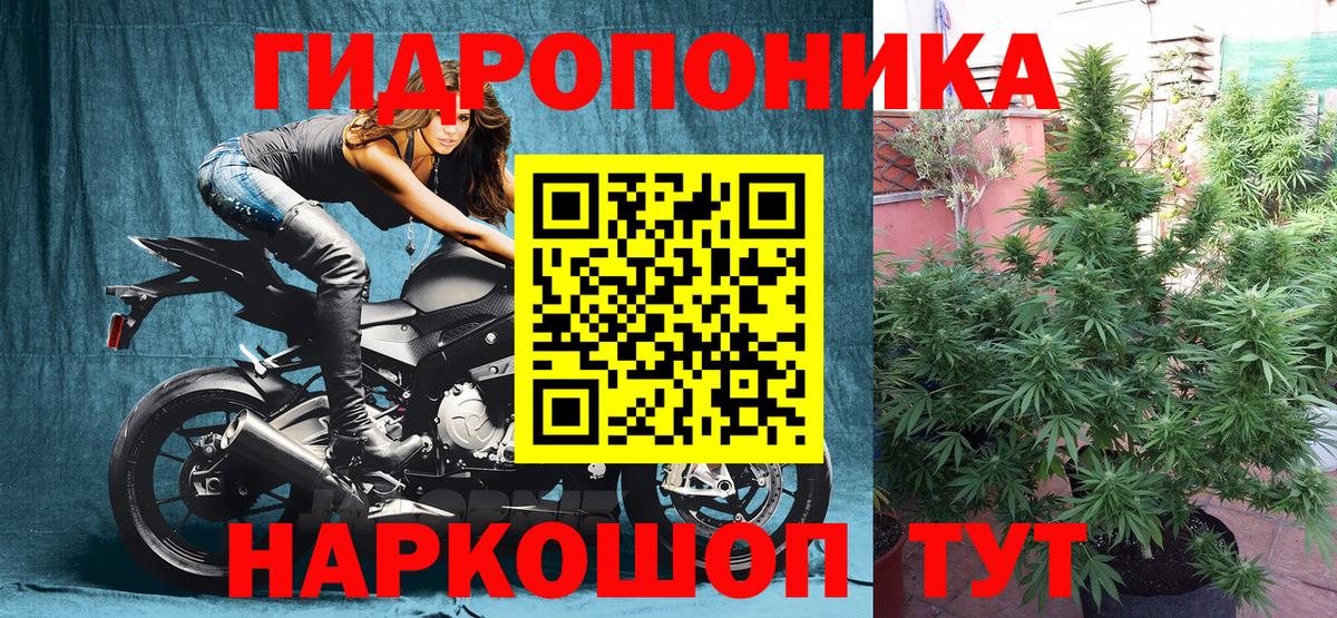 Петропавловск-Камчатский  МАРИХУАНА SATIVA & INDICA  Канабис LSD WEED  Вход с VPN  Канабис LSD WEED 